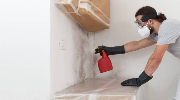 Professional Crawl Space Mold Remediation technician working in Burnsville, NC