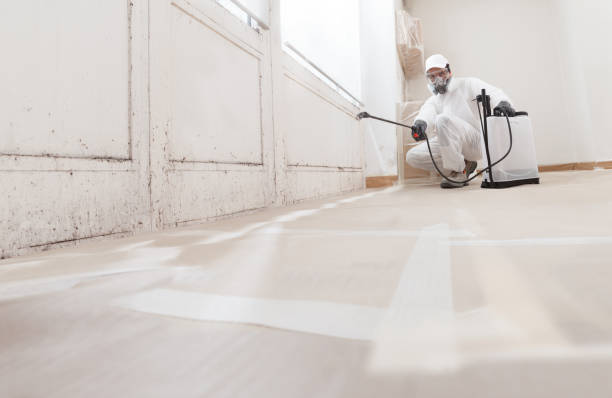 24/7 Emergency Crawl Space Mold Remediation experts in Burnsville, NC