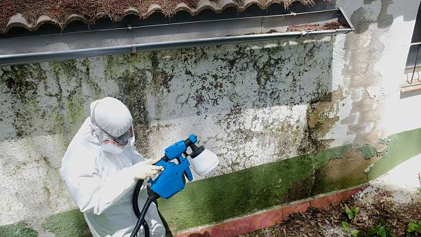 Top rated local Crawl Space Mold Remediation specialists in Burnsville, NC